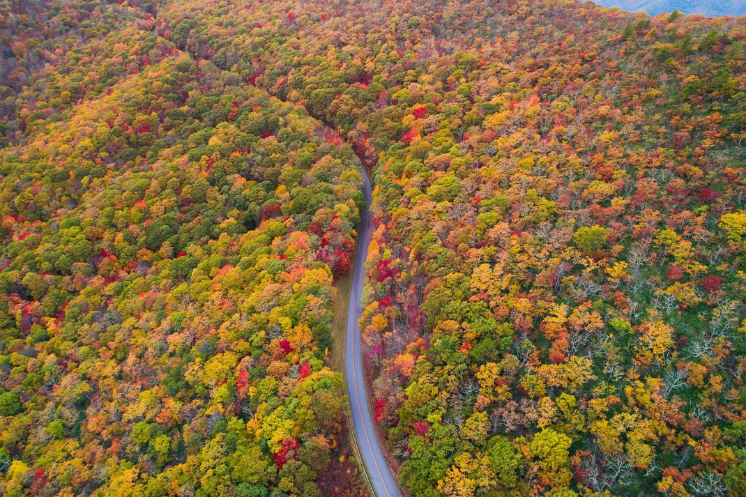 blue-ridge-parkway-in-fall