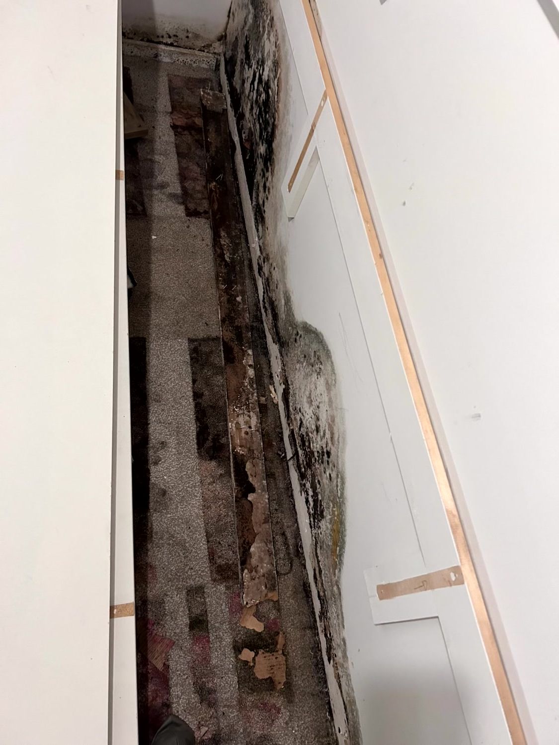 Superb Restoration, Omaha NE, Elkhorn Omaha NE, Fairacres Omaha NE, Old Loveland Omaha NE, Dundee-Happy Hollow Historic District Omaha NE, Lincoln NE, Downtown Lincoln NE, Sunrise Hills Lincoln NE, Westside Omaha NE, Fremont NE, Bellevue NE, La Vista NE, Gretna NE, Papillion NE, Ralston NE, Ashland NE, Waverly NE, Valley NE, Bennington NE, Restoration Company Near Me, Damage Restoration Company, Water Damage Restoration, Residential Water Damage Restoration, Commercial Water Damage Restoration, Omaha Water Damage Restoration, Lincoln Water Damage Restoration, Fremont Water Damage Restoration, Bellevue Water Damage Restoration, La Vista Water Damage Restoration, Gretna Water Damage Restoration, Papillion Water Damage Restoration, Ralston Water Damage Restoration, Ashland Water Damage Restoration, Waverly Water Damage Restoration, Valley Water Damage Restoration, Bennington Water Damage Restoration, Mold Mitigation, Residential Mold Mitigation, Commercial Mold Mitigation, Omaha Mold Restoration, Lincoln Mold Restoration, Fremont Mold Restoration, Bellevue Mold Restoration, La Vista Mold Restoration, Gretna Mold Restoration, Papillion Mold Restoration, Ralston Mold Restoration, Ashland Mold Restoration, Waverly Mold Restoration, Valley Mold Restoration, Bennington Mold Restoration, Fire Damage Restoration, Remodeling Company, Remodeling Company Near Me, Remodelers Near Me, Residential Kitchen Remodeling, Commercial Kitchen Remodeling, Kitchen Remodeling, Omaha Kitchen Remodelers, Lincoln Kitchen Remodelers, Fremont Kitchen Remodelers, Bellevue Kitchen Remodelers, La Vista Kitchen Remodelers, Gretna Kitchen Remodelers, Papillion Kitchen Remodelers, Ralston Kitchen Remodelers, Ashland Kitchen Remodelers, Waverly Kitchen Remodelers, Valley Kitchen Remodelers, Bennington Kitchen Remodelers, Residential Bathroom Remodeling, Commercial Bathroom Remodeling, Bathroom Remodeling, Omaha Bathroom Remodelers, Lincoln Bathroom Remodelers, Fremont Bathroom Remodelers, Bellevue Bathroom Remodelers, La Vista Bathroom Remodelers, Gretna Bathroom Remodelers, Papillion Bathroom Remodelers, Ralston Bathroom Remodelers, Ashland Bathroom Remodelers, Waverly Bathroom Remodelers, Valley Bathroom Remodelers, Bennington Bathroom Remodelers, Tilework Bathroom Remodelers, Drywall Installation, Drywall Repairs, Drywall Patchwork, Painting, Interior Painting, Exterior Painting, Flooring Company Near Me, Residential Flooring Company, Commercial Flooring Company, Omaha Flooring Company, Lincoln Flooring Company, Fremont Flooring Company, Bellevue Flooring Company, La Vista Flooring Company, Gretna Flooring Company, Papillion Flooring Company, Ralston Flooring Company, Ashland Flooring Company, Waverly Flooring Company, Valley Flooring Company, Bennington Flooring Company, Flooring Installation, Hardwood Flooring Installation, Vinyl Flooring Installation, Laminate Flooring Installation, LVP Flooring Installation, Flooring Repairs, Storm Damage, Storm Damage Restoration