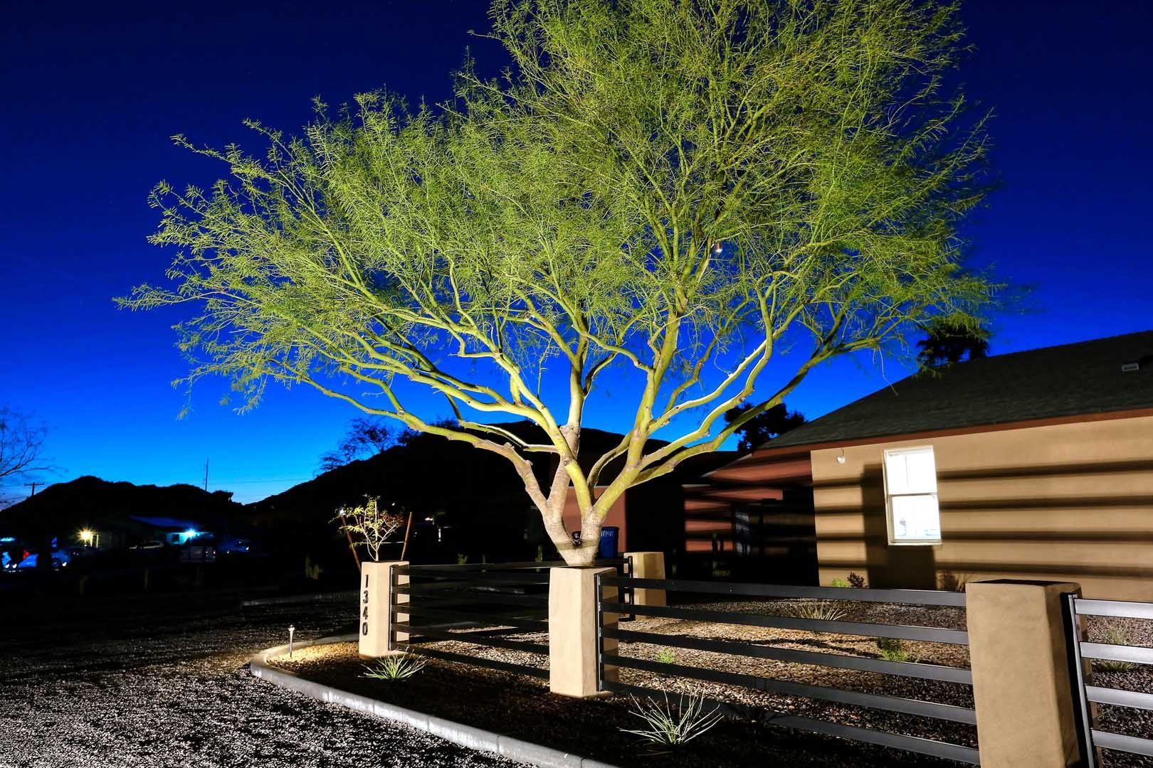 A tree is lit up in front of a house at night