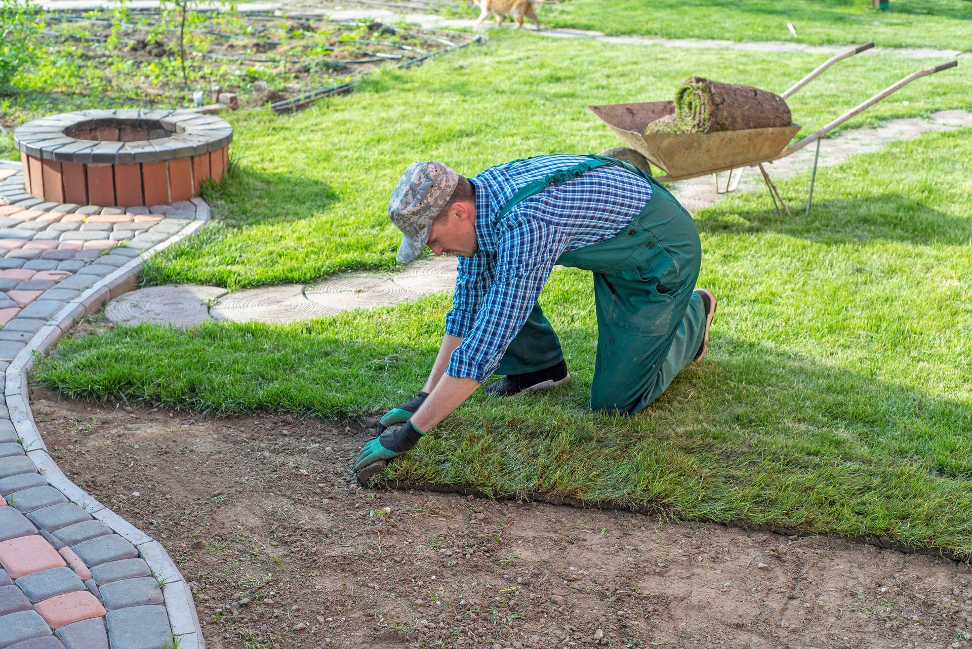 The landscaper rolls fresh grass by the fire pit, crafting a lush green retreat.