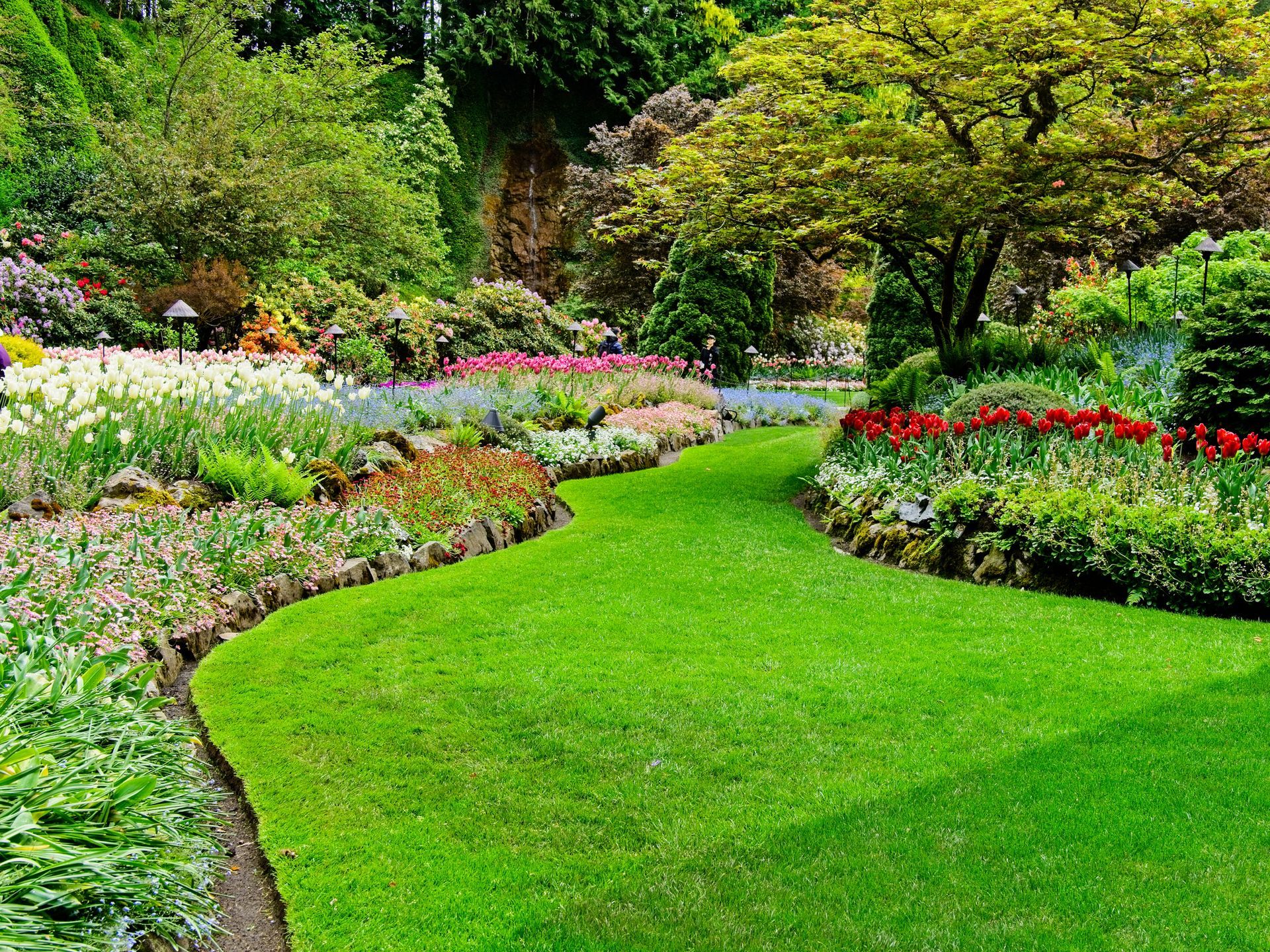Lush green lawn curves through a vibrant garden with colorful flowers and trees.