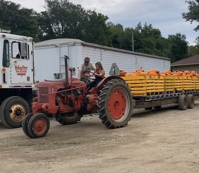 Fall farm experience tractor rides and pumpkin patch