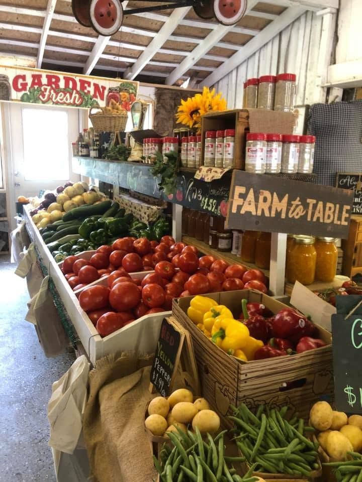 Garden vegetable transplants and seedlings at Yellow River Farms