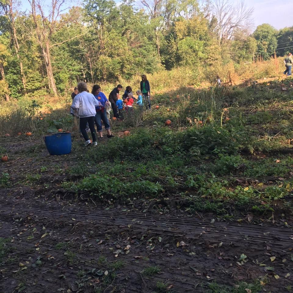 Family picking pumpkins at Yellow River Farms