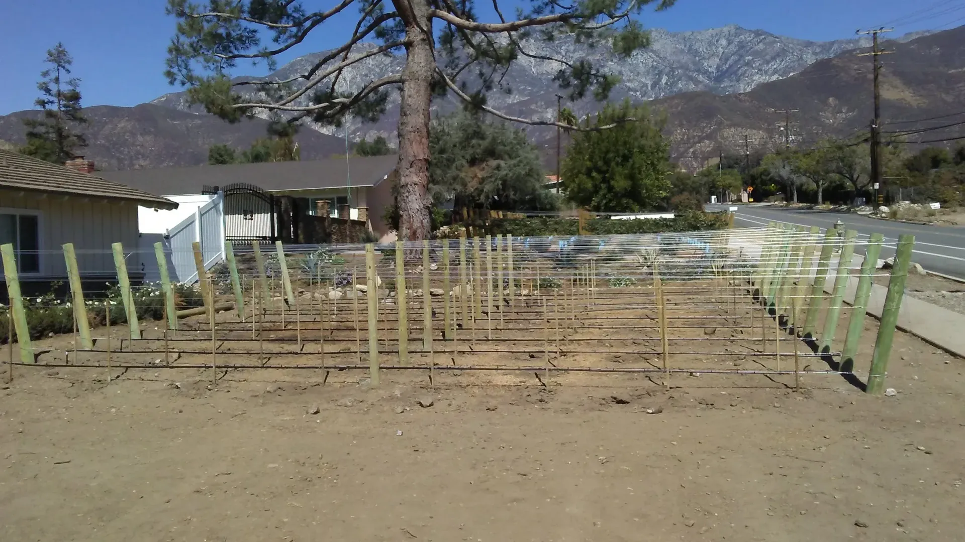 Empty garden plot with wooden stakes, chain-link fence, a street, and mountains in the background.