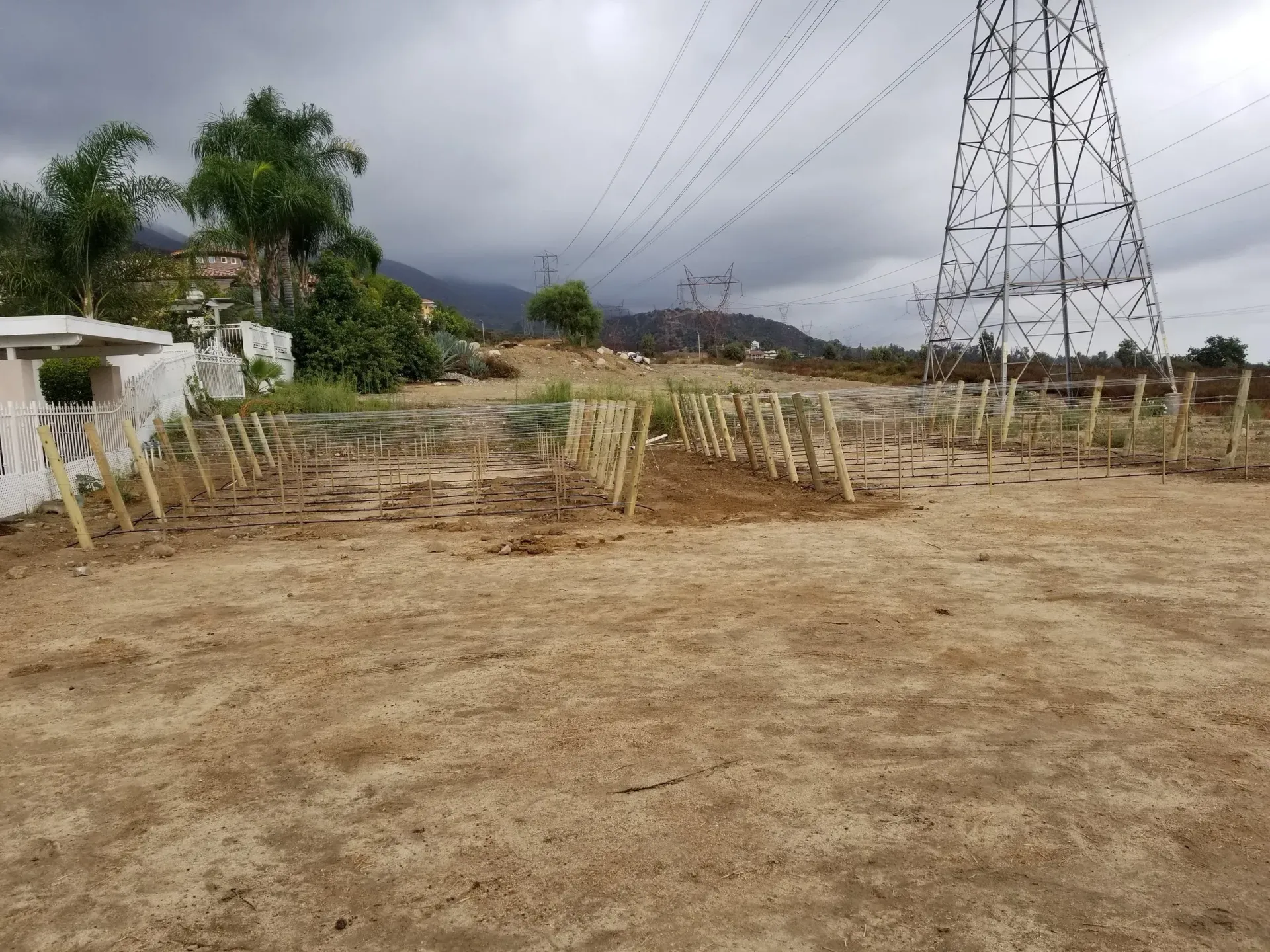 Brown field with young trees planted, power lines, distant mountains, cloudy sky.