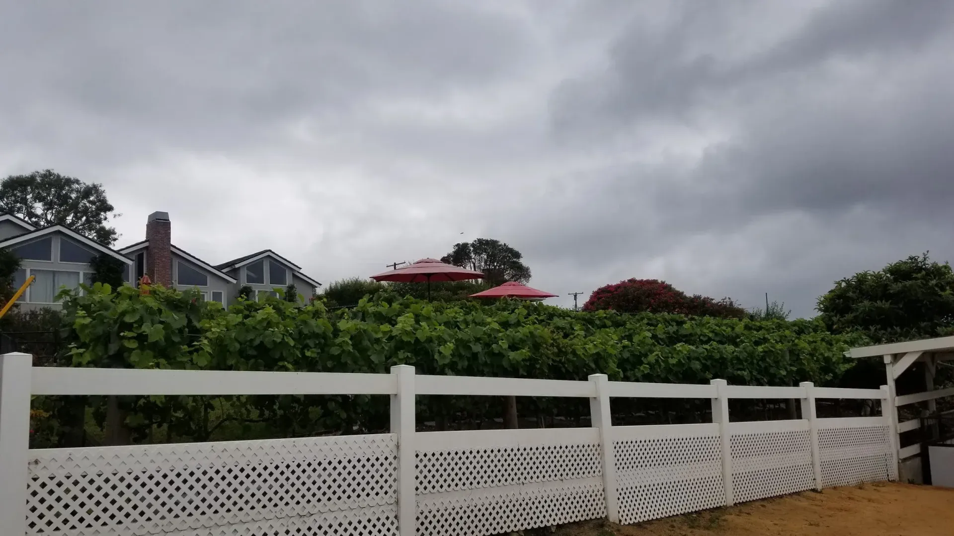 White picket fence with green foliage and buildings under a cloudy sky.