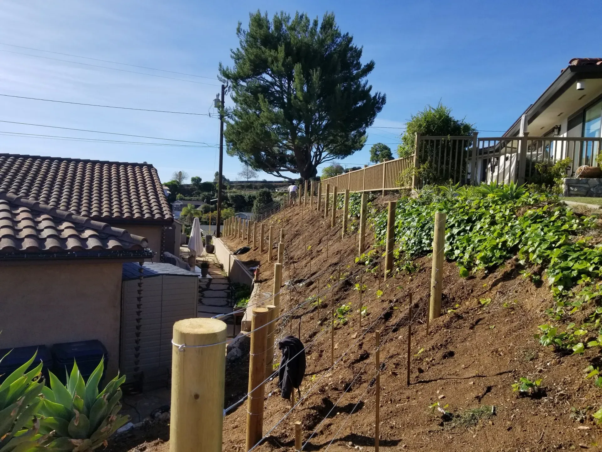 A hillside with a wooden fence and newly planted plants. A house is on the right, and the sky is blue.