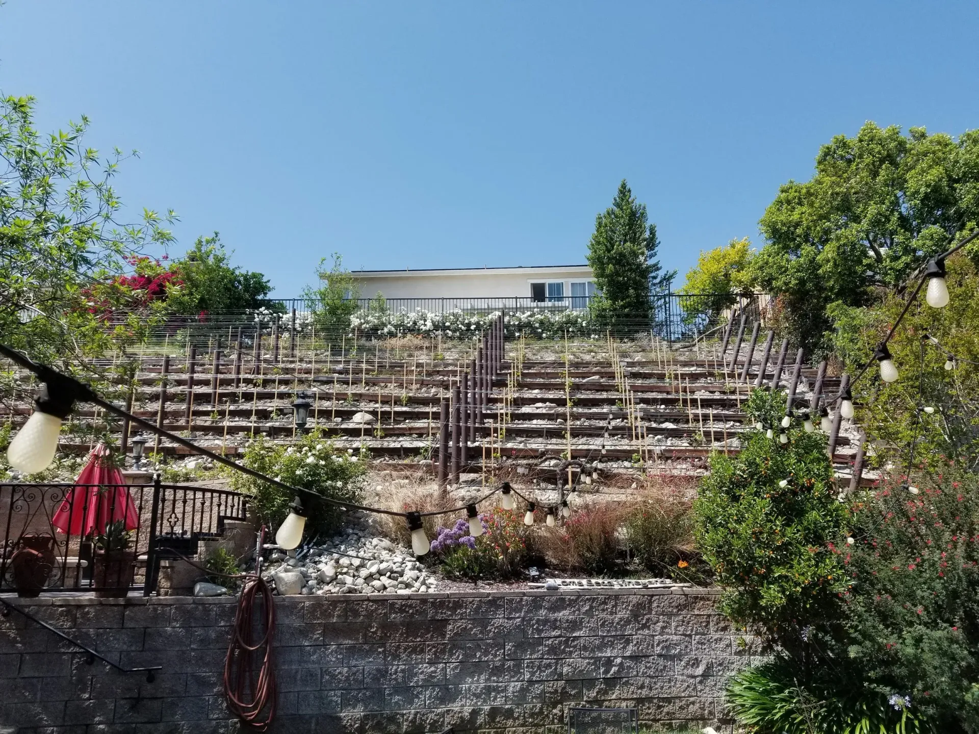 A terraced hillside with a house on top, string lights, and greenery against a blue sky.