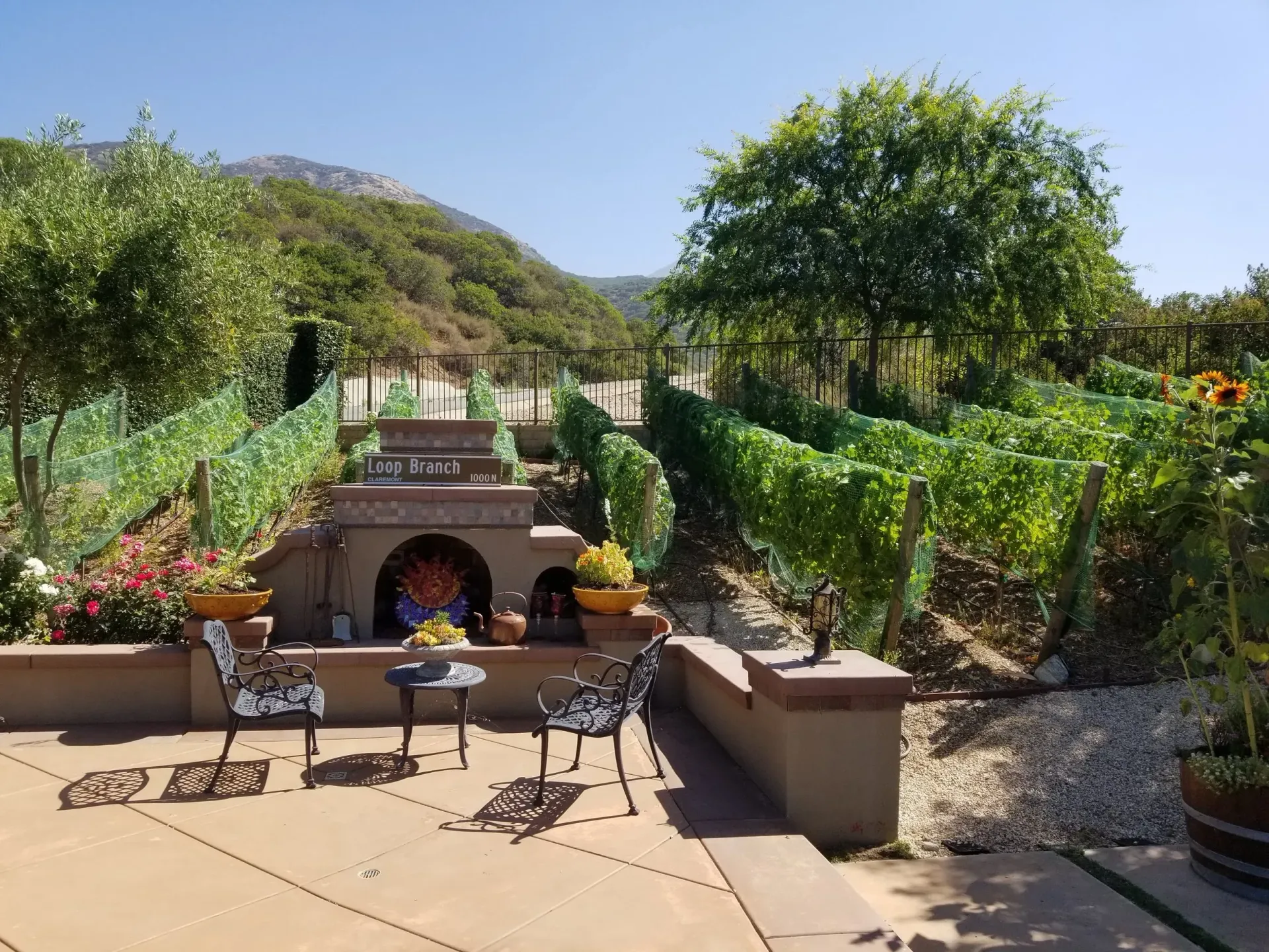Vineyard with tiered seating area, chairs, and colorful mosaic fireplace, with mountain backdrop.