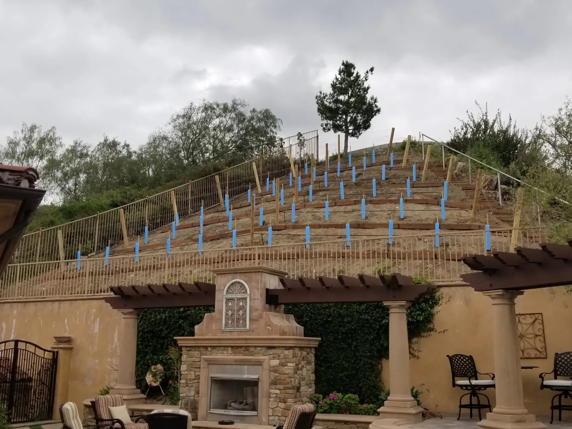 Terraced hillside with newly planted saplings; rustic patio with fireplace and pergola in foreground.