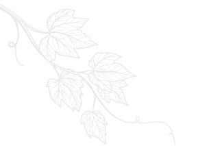 Vine branch with leaves, drawn in pale gray against white background.