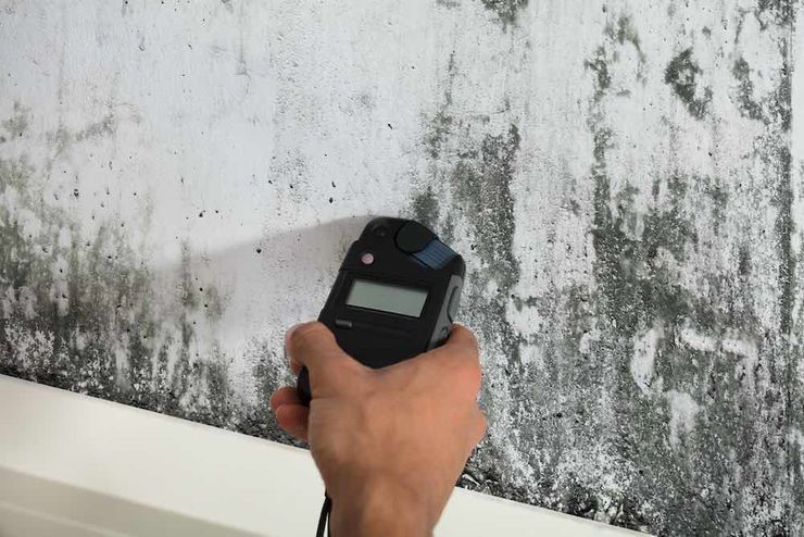 A hand holds a moisture meter against a wall covered in dark, streaky patches of mold or water damage.