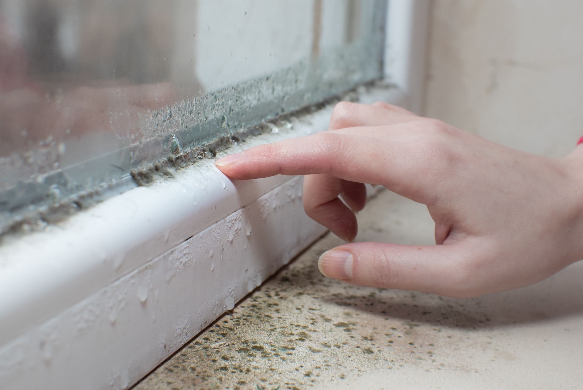 A person's finger points to mold and condensation buildup along the bottom frame of a window.