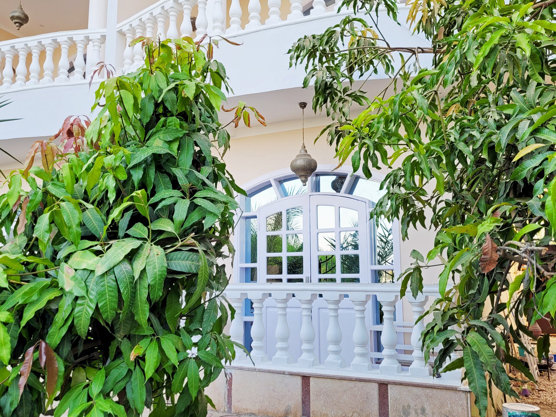 INLUXOR Nile apartments holiday apartments on the West Bank of Luxor