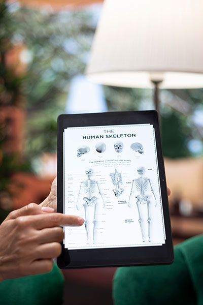 Person points at human skeleton diagram on a tablet, indoors.