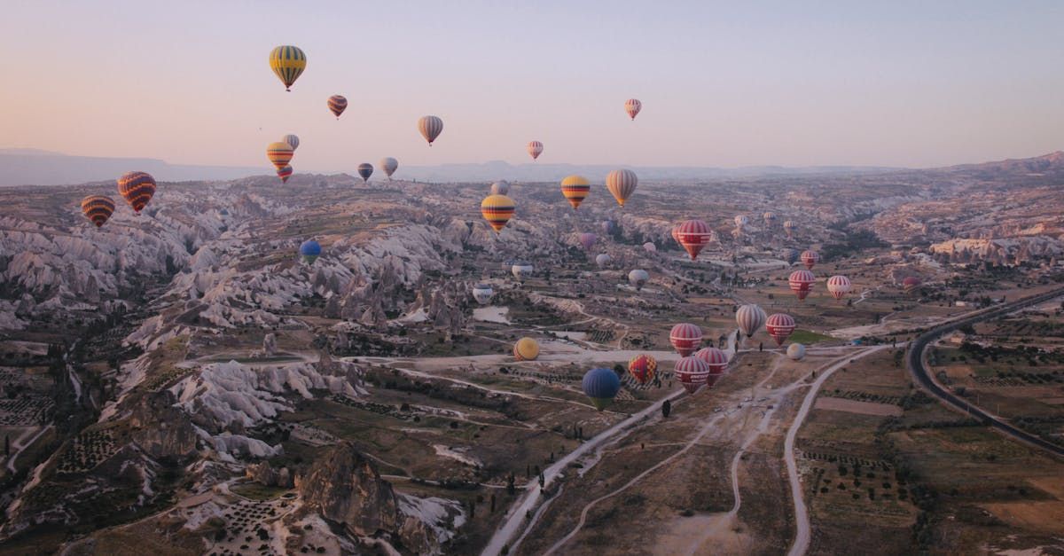 Hot air balloons over a valley at dawn. Colorful balloons float above a landscape with unique rock formations and a highway.