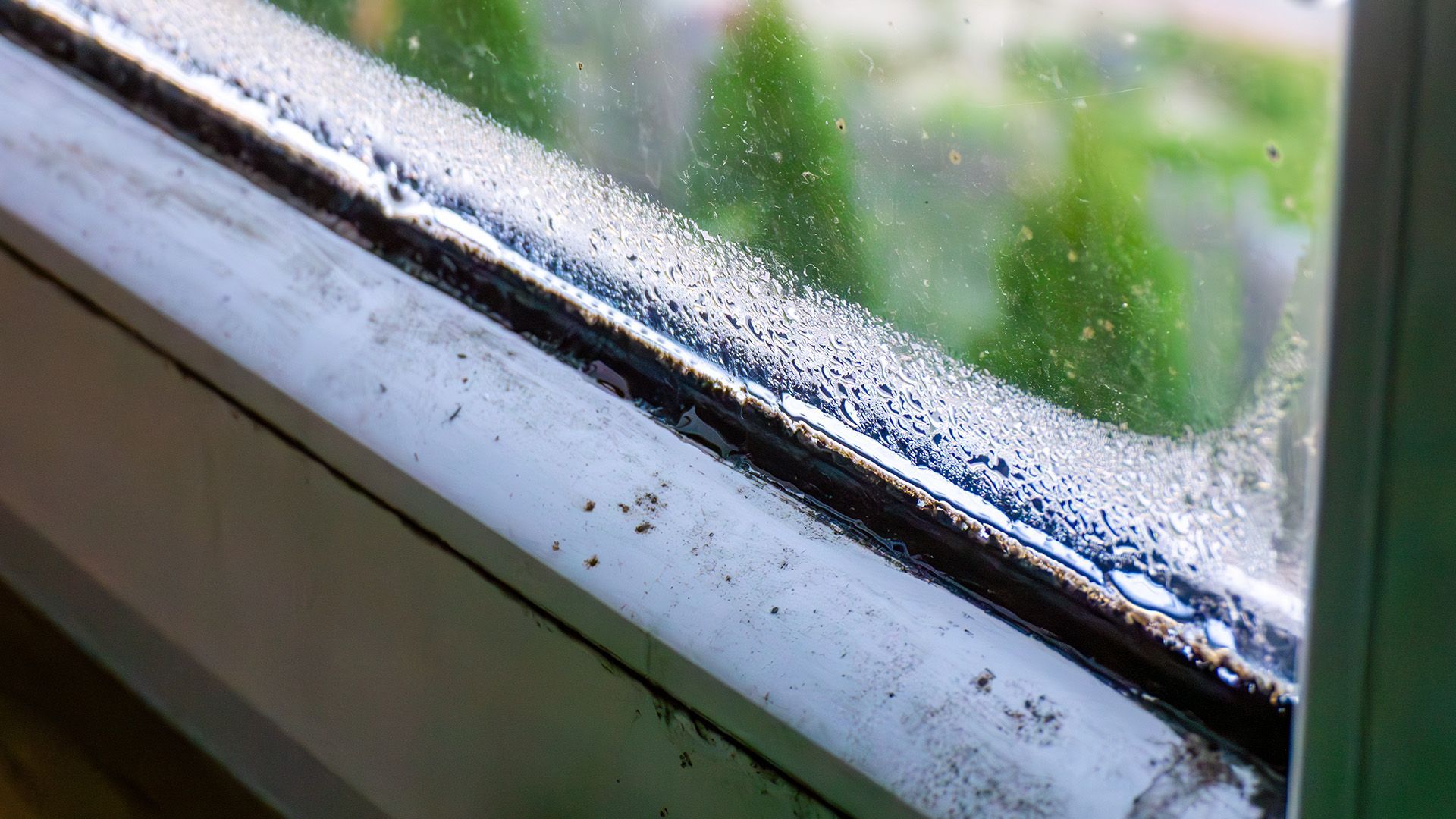 Windows Foggy Condensation or Seal Failure