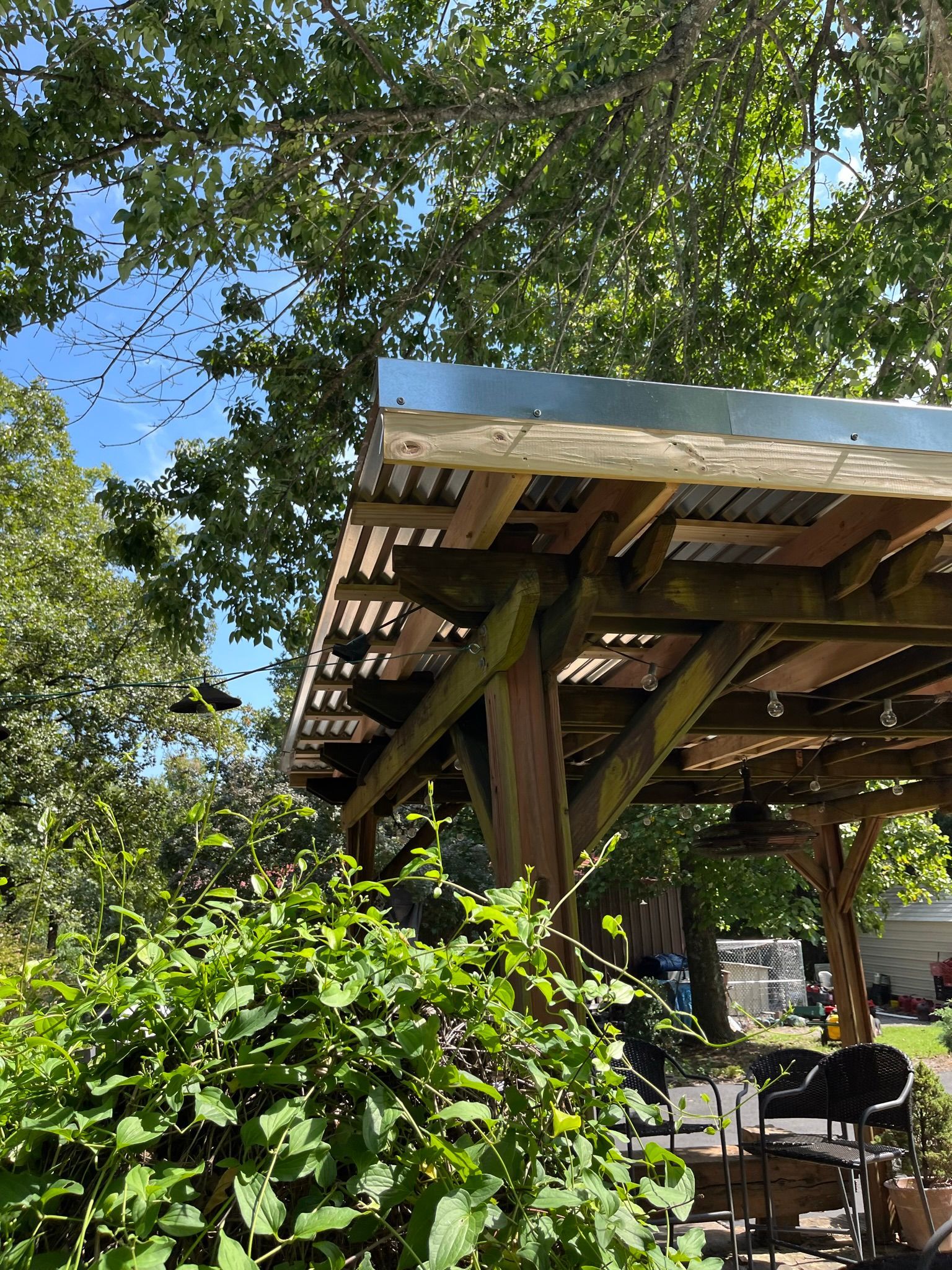 Wooden pergola with corrugated metal roof, surrounded by green foliage, against a blue sky.