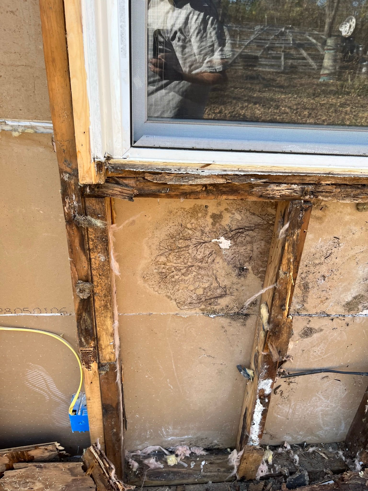 Exterior wall with exposed wood framing, water damage, and window.