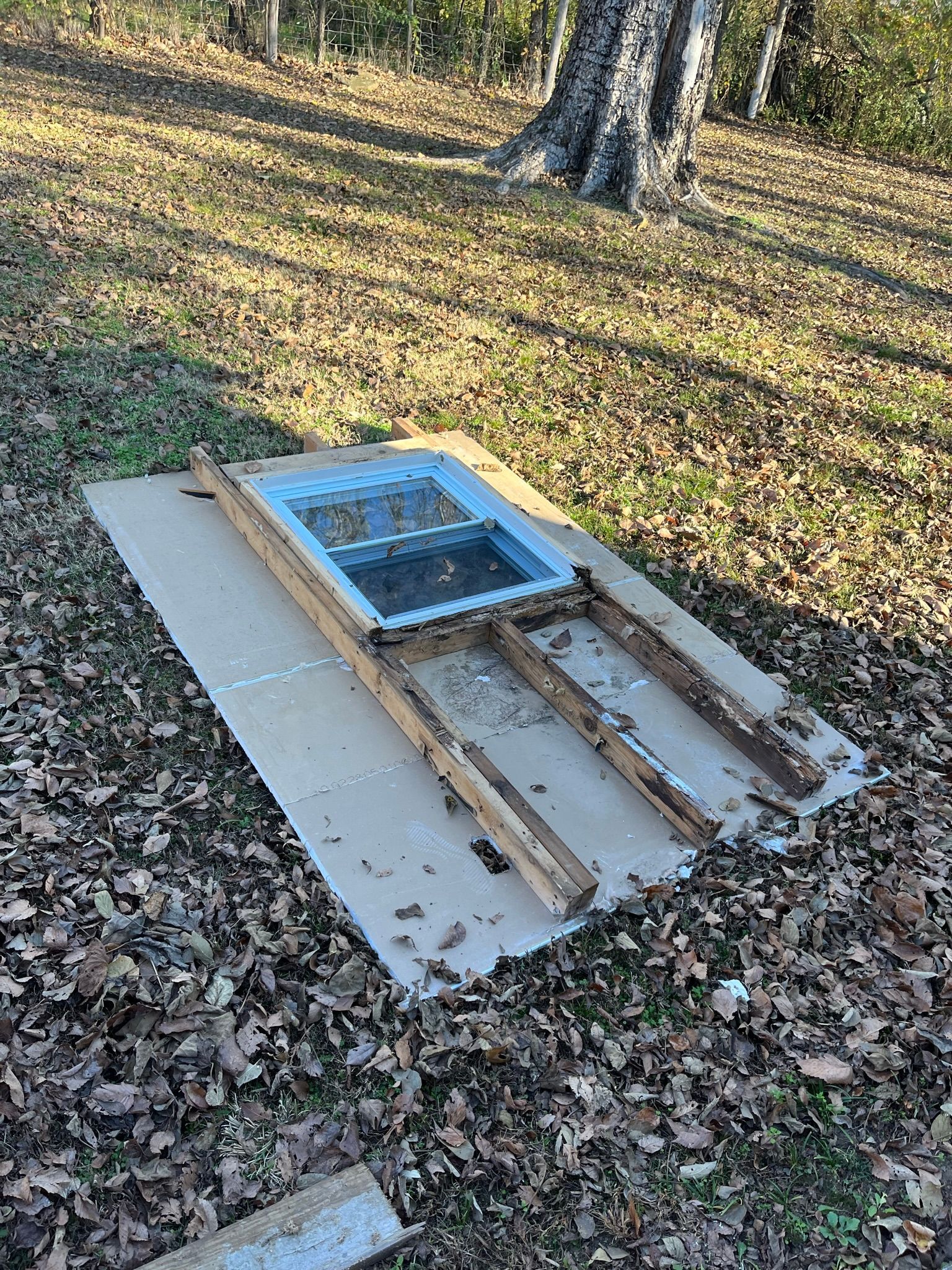 Window frame with glass panes lying on cardboard outdoors on a bed of leaves.