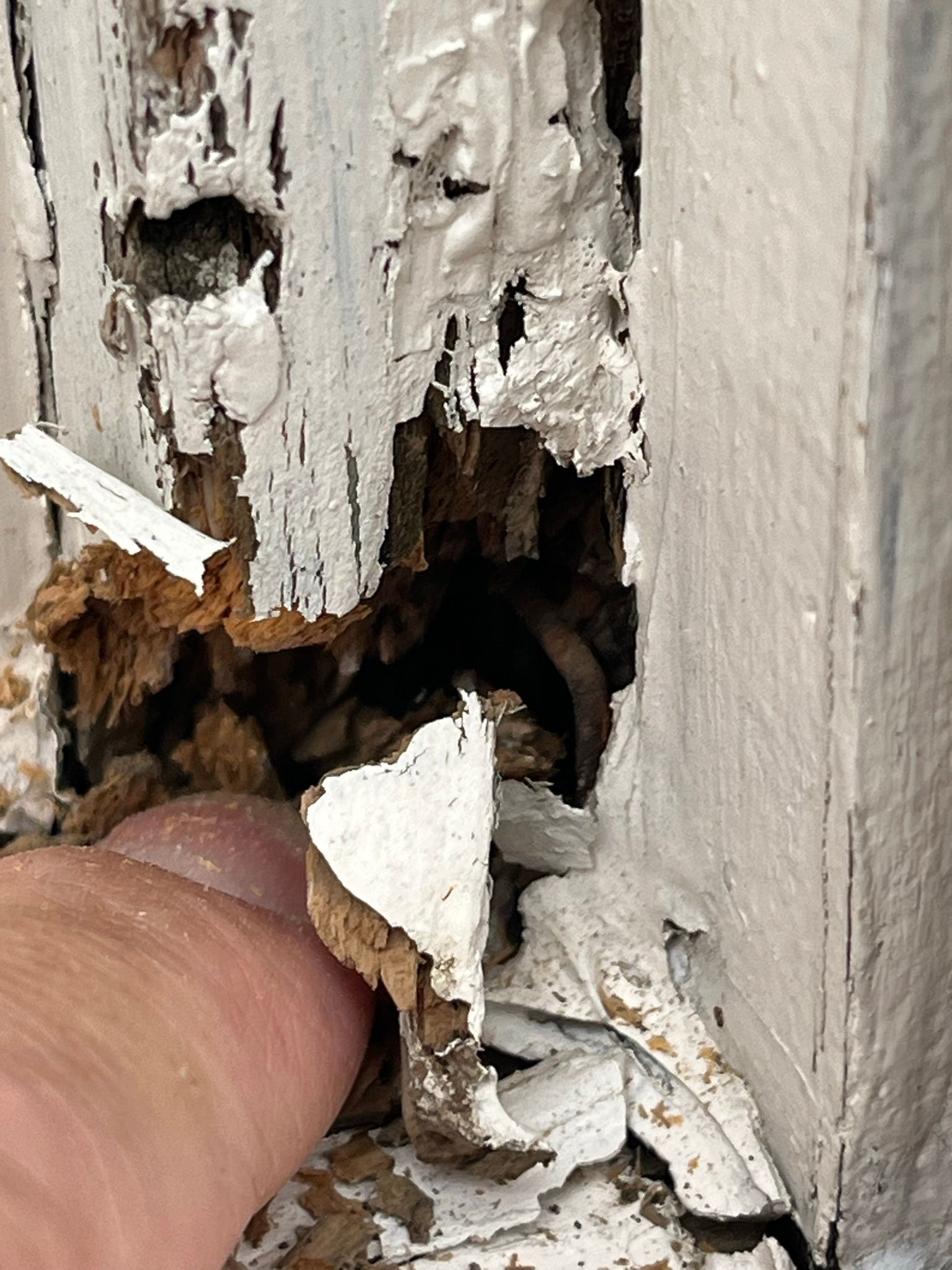 Finger pointing at severely rotted and paint-chipped wooden door frame.