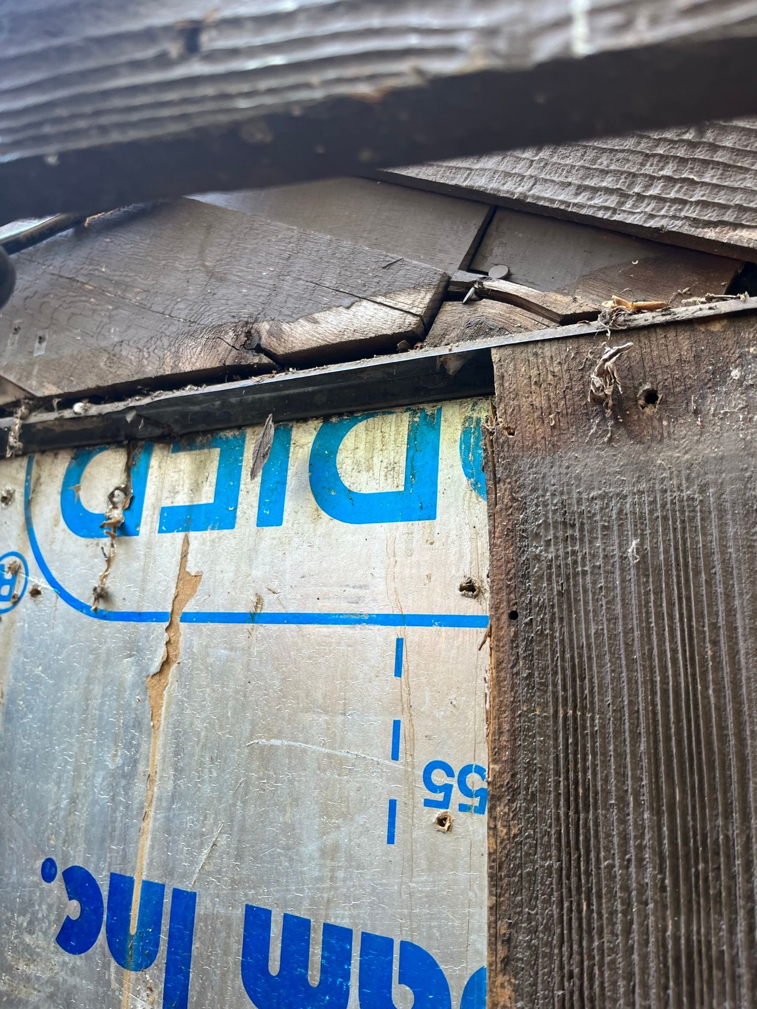 Close-up of a damaged roof with crumbling asphalt shingles, exposed sheathing, and blue logo visible.