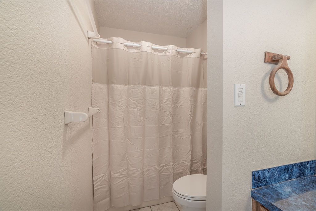 Bathroom interior: white walls, shower curtain, toilet, and a towel ring, some dark blue countertop.