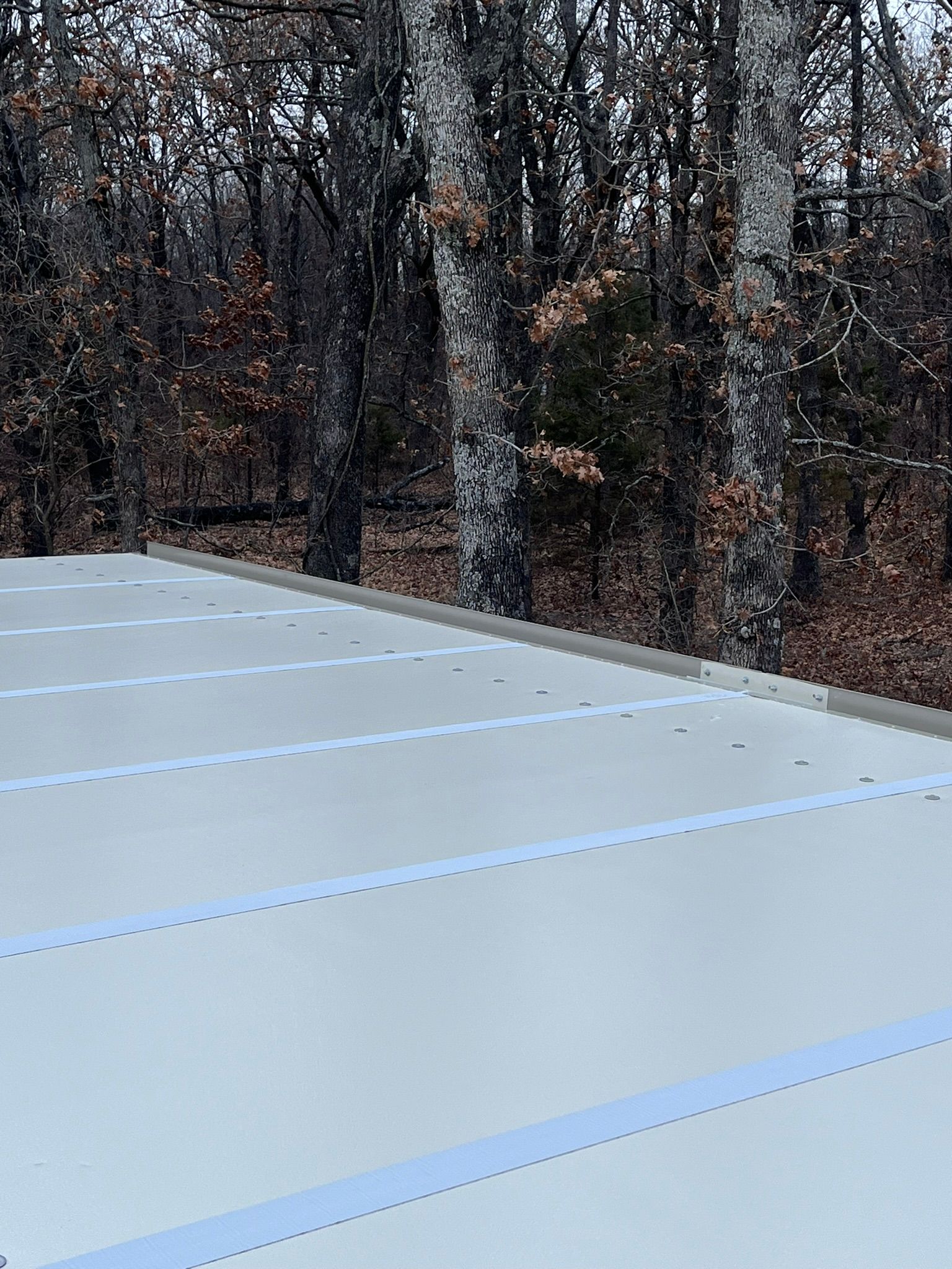Metal roof with blue tape, trees in the background.