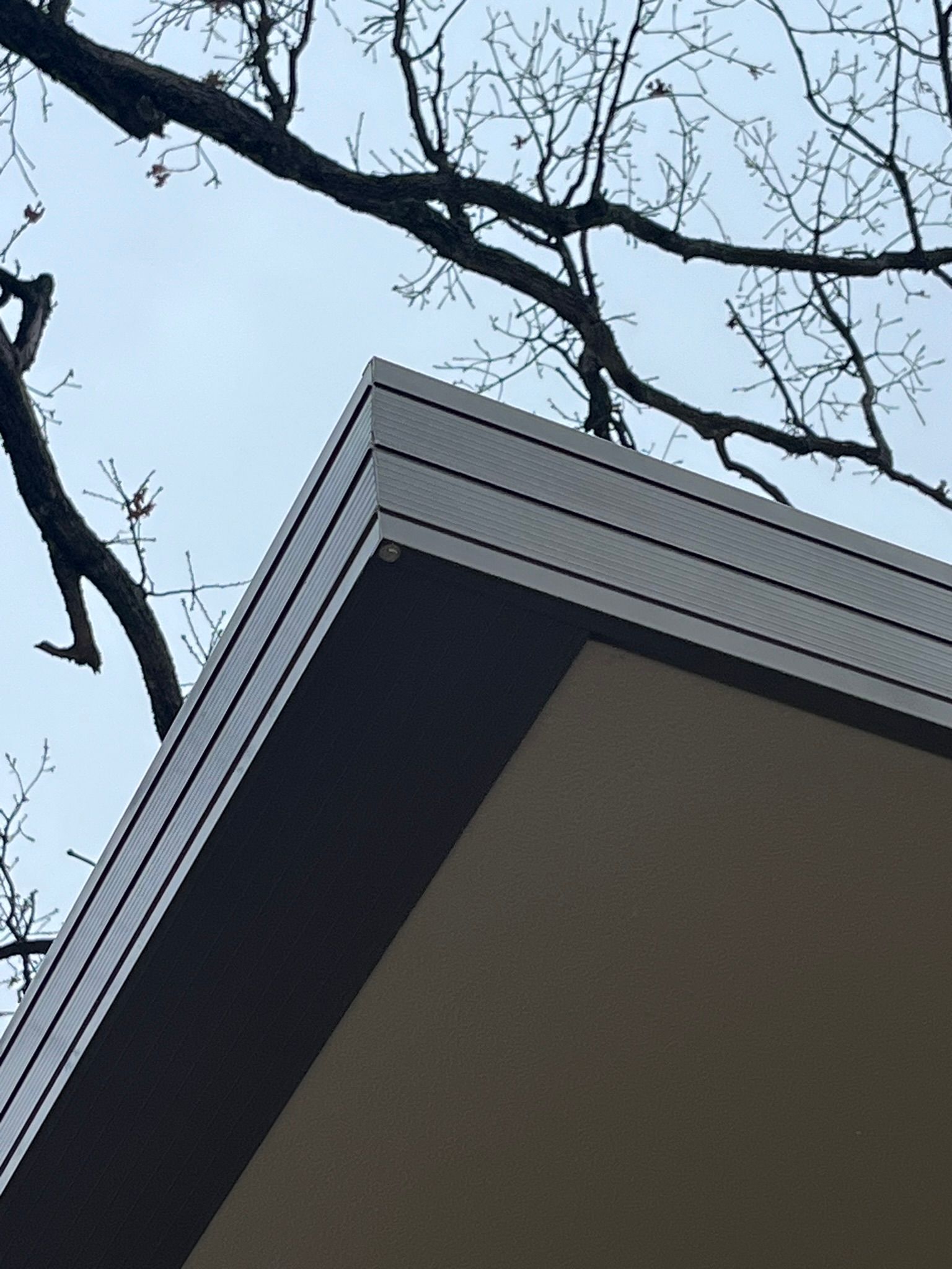 Brown roof corner with dark trim against a cloudy sky and bare tree branches.