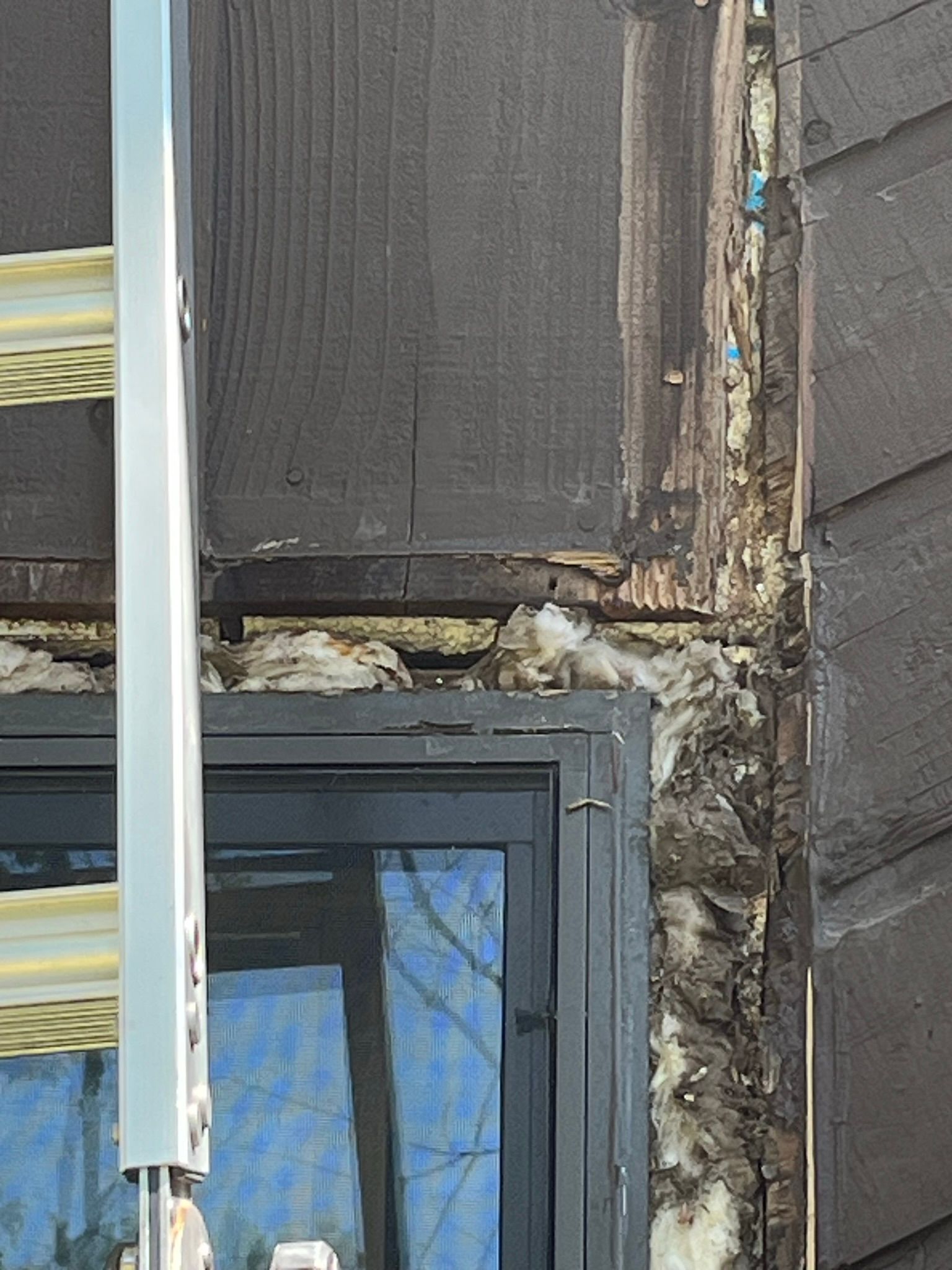 Damaged exterior house siding and window with exposed wood and insulation.