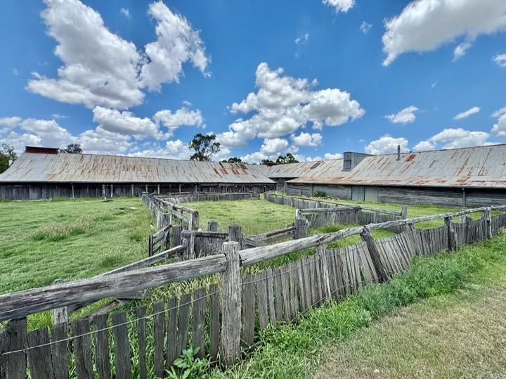 Oakey Attractions