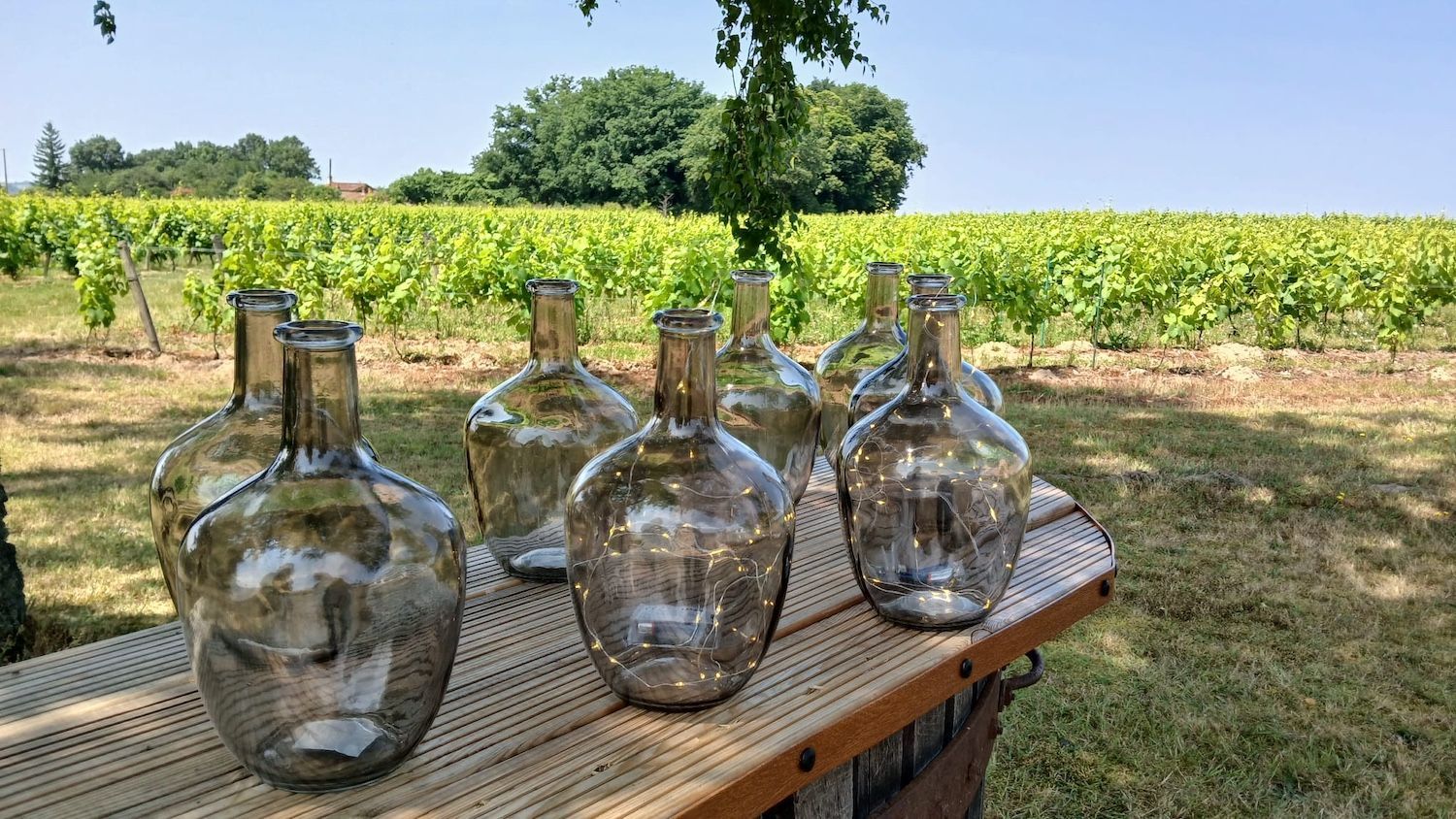 Location demi-jeanne vignoble nantais