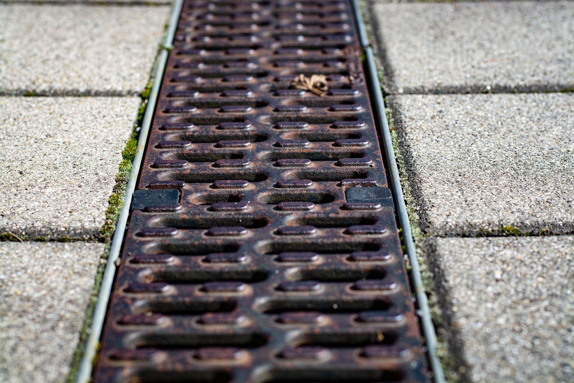 A metal trench drain grate centered between light-colored paving stones.
