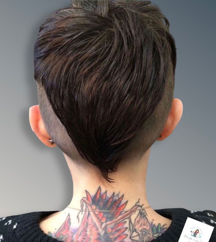 Back of head with short dark hair