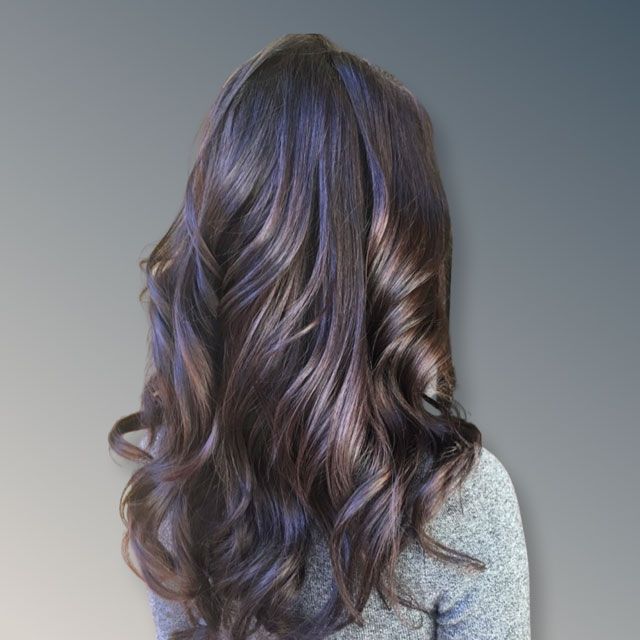 Back view of long, wavy dark brown hair with subtle purple highlights
