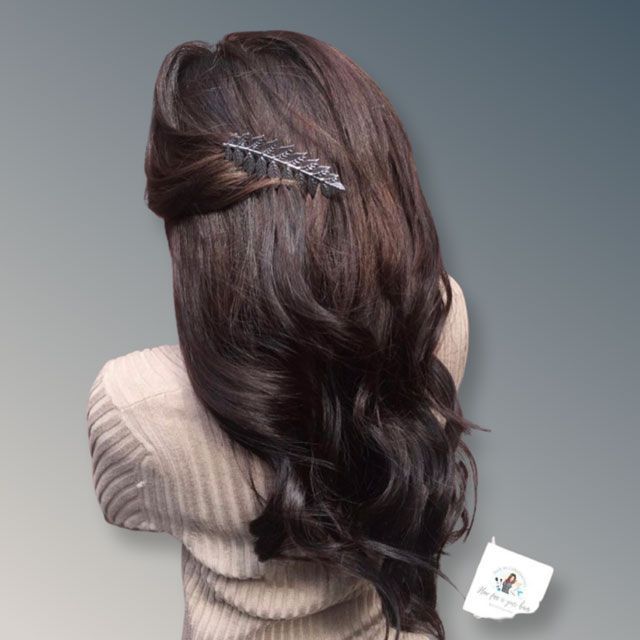 Long wavy brown wig with a silver hair clip