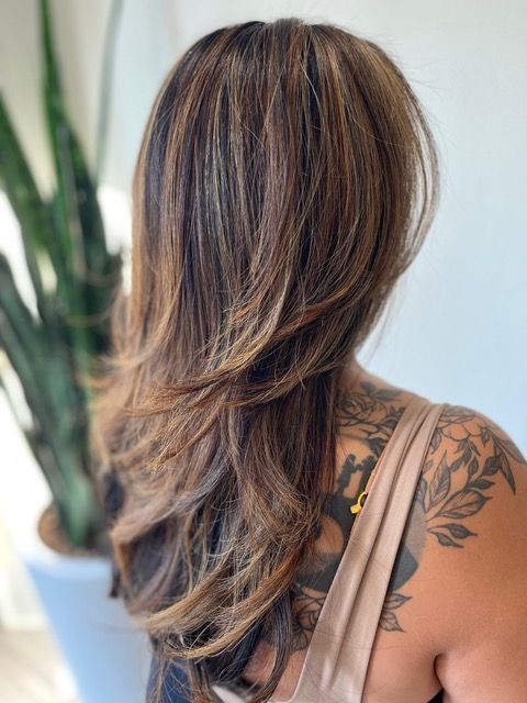 Back view of long layered brown hair with blonde highlights