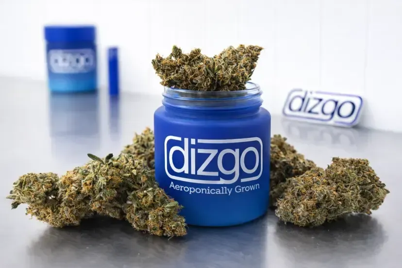 dizgo cannabis jar