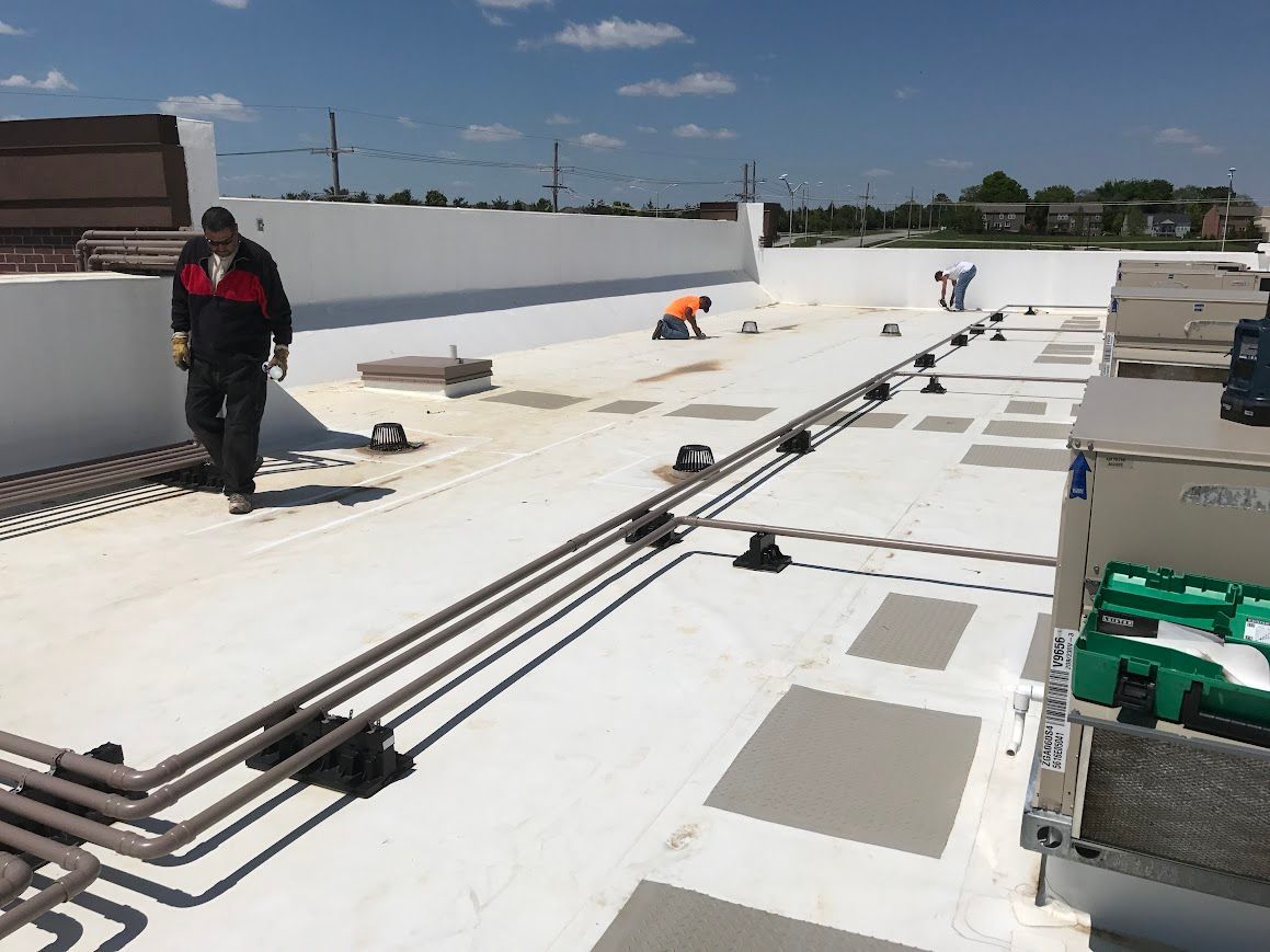 flat roof