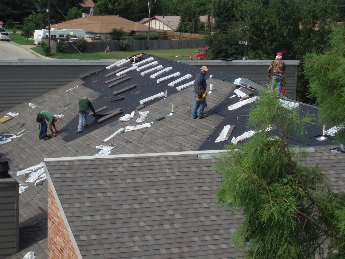 shingle roofing