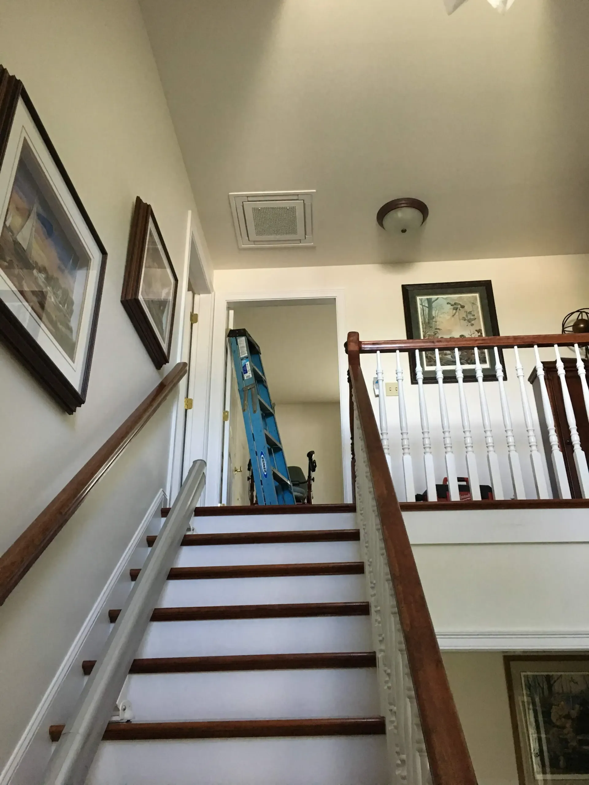 A blue ladder is sitting on the stairs in a house.