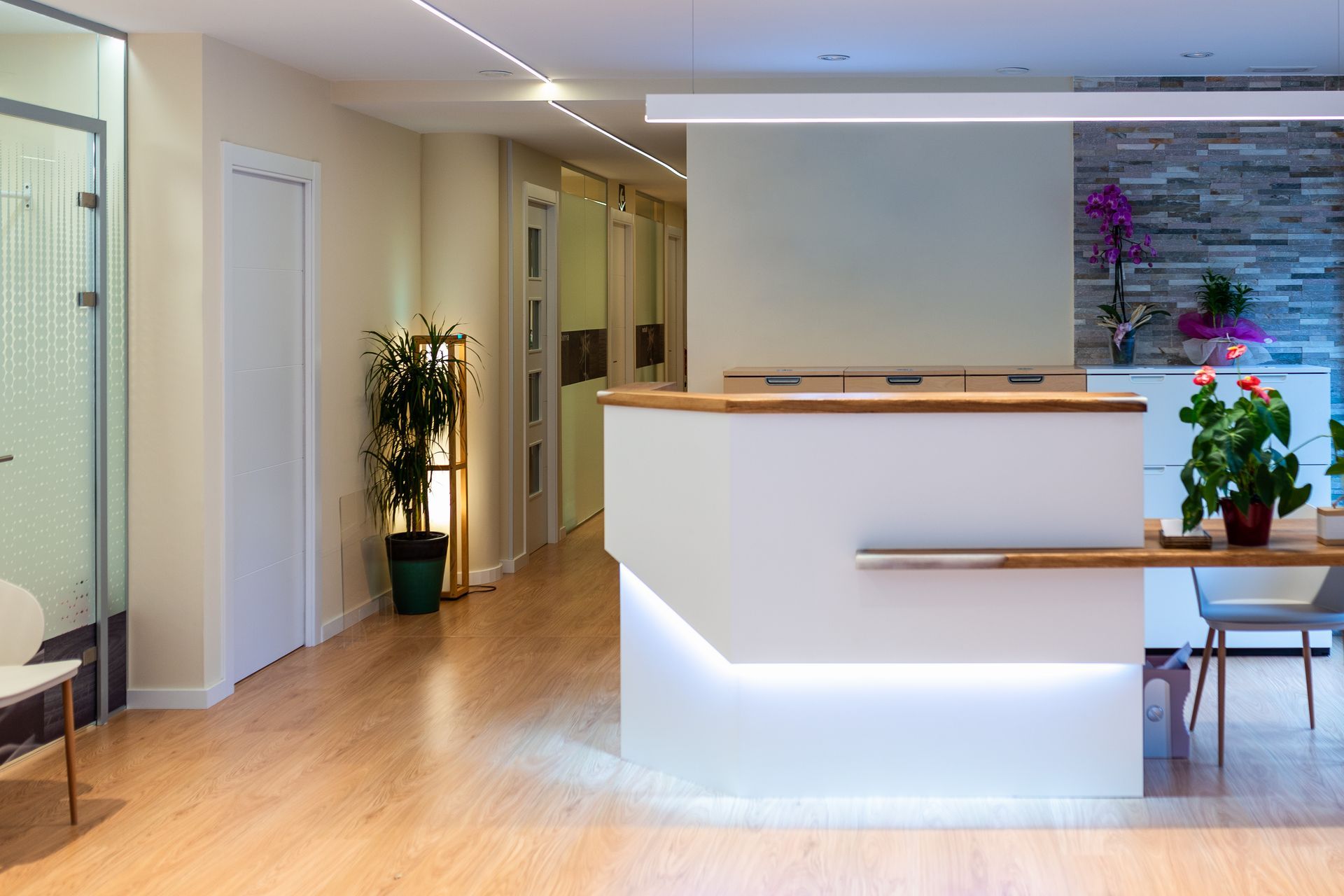 Modern office lobby with reception desk, wood floors, plants, and white walls