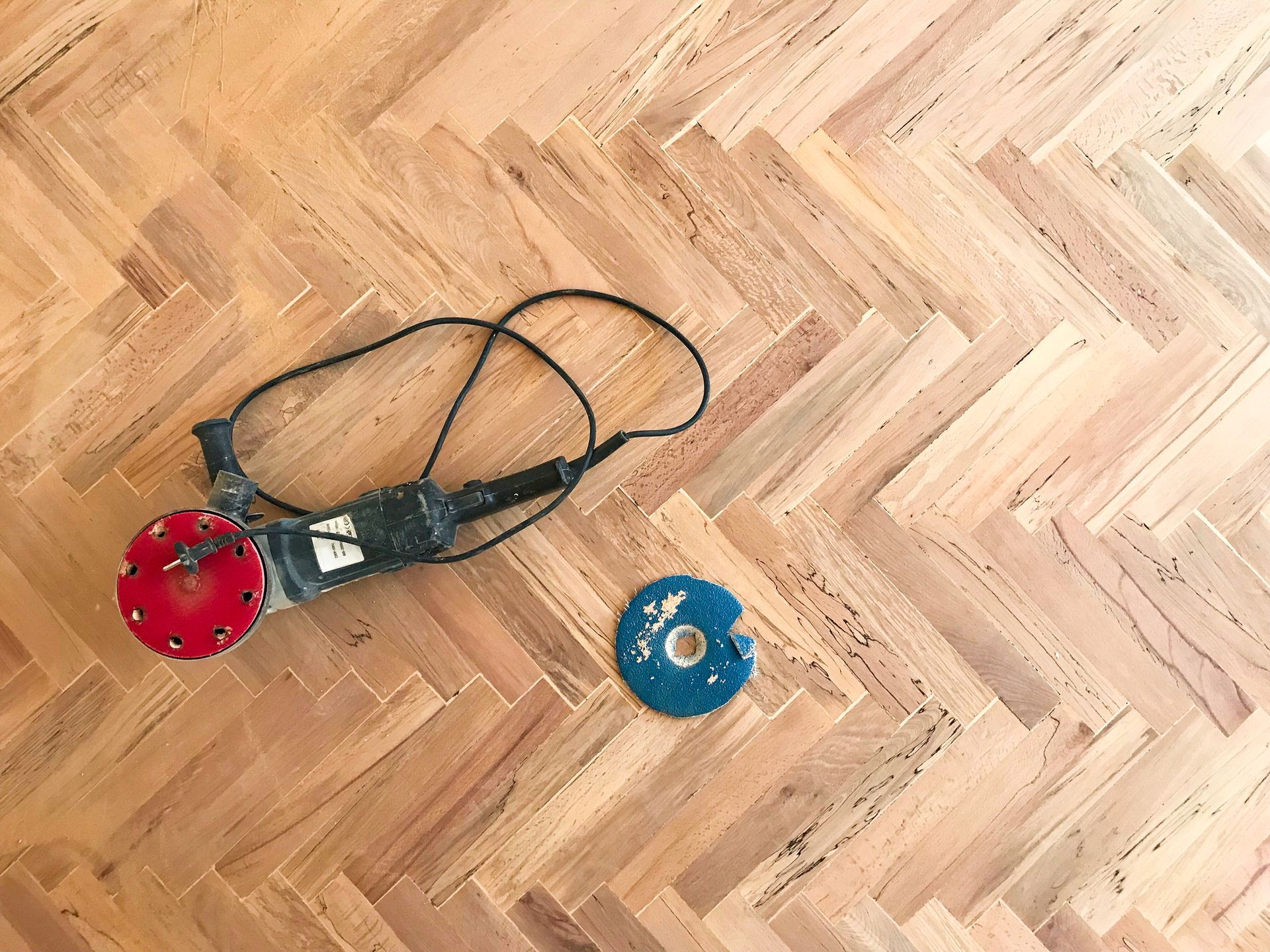 Two retractable dog leashes, one red and one blue, on a herringbone wood floor.