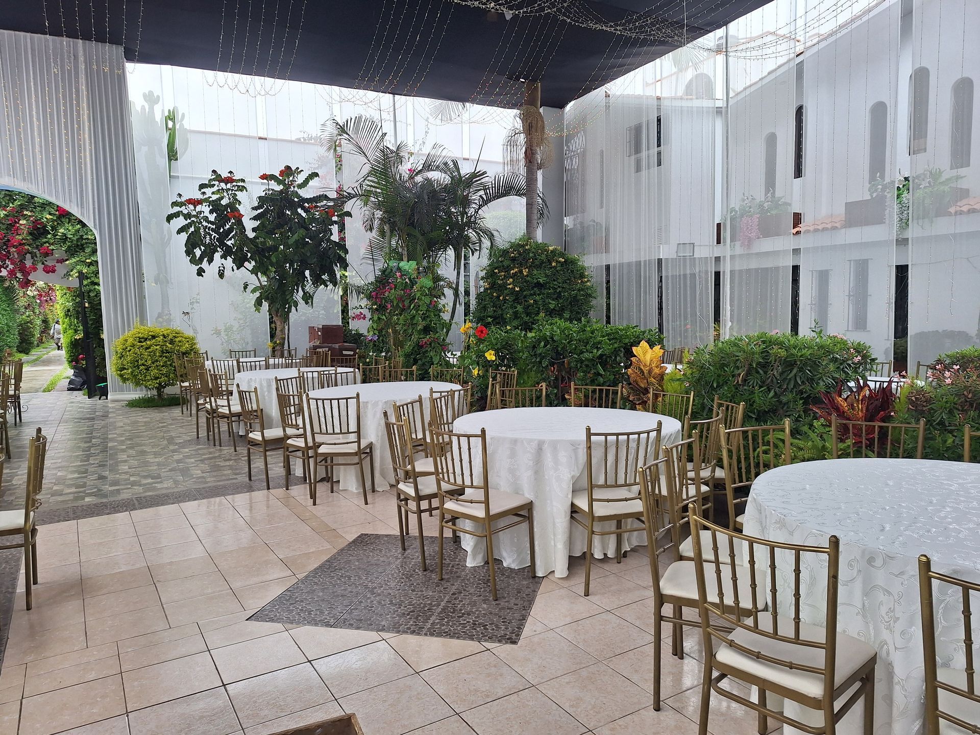 Cafetería con patio al aire libre, mesas blancas, sillas doradas, plantas en macetas y un toldo de cristal.