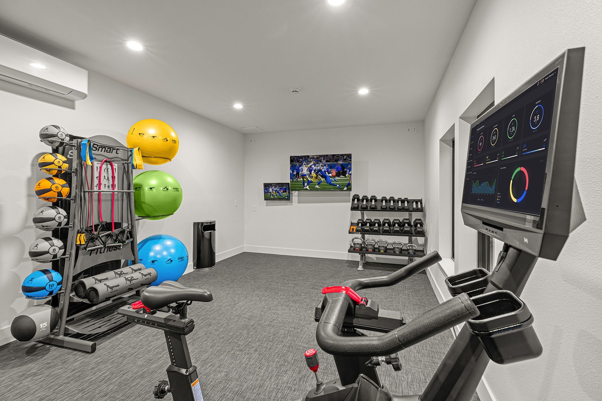 Home gym with exercise bike, free weights, medicine balls, and TV.