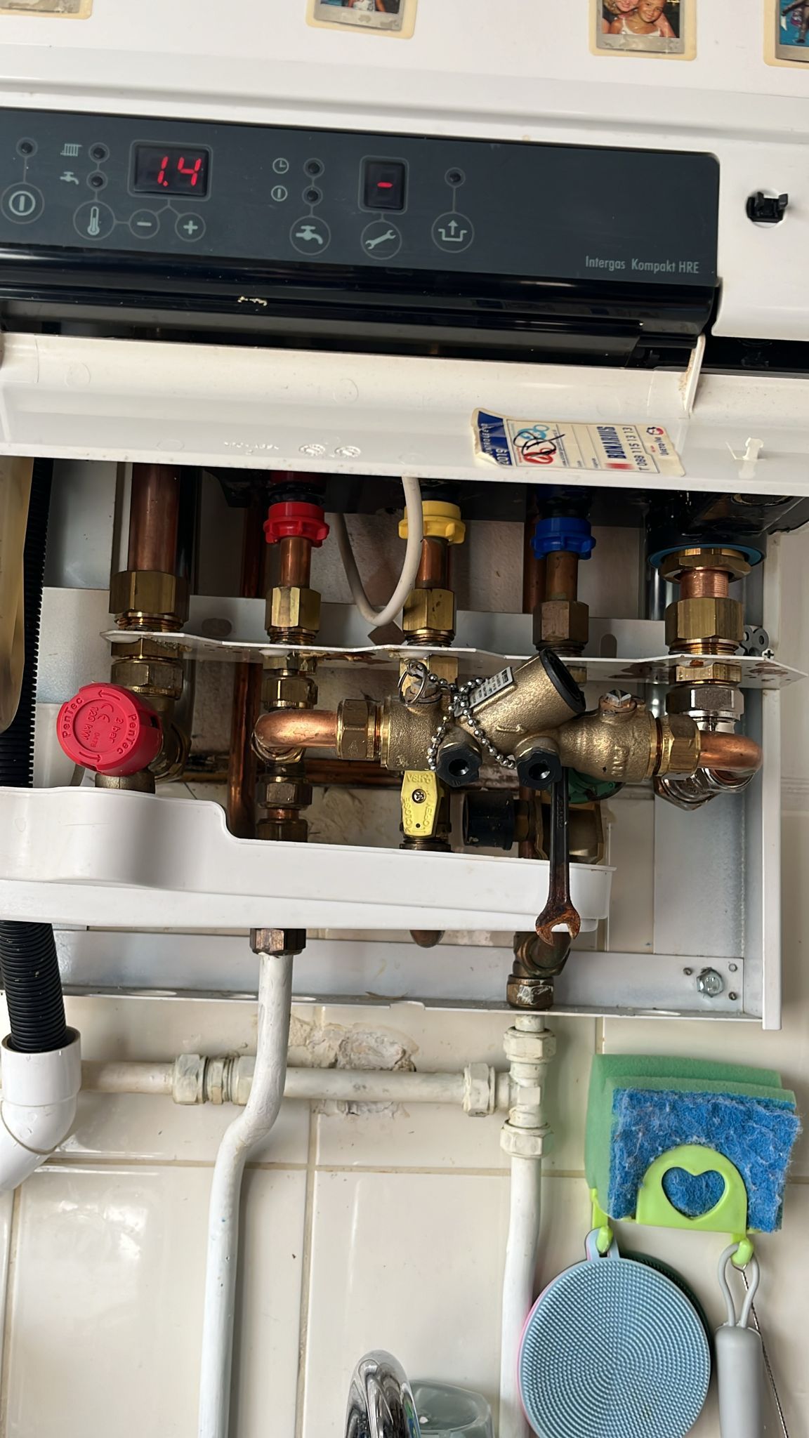 Boiler installation by English-speaking plumber in Amsterdam utility room.