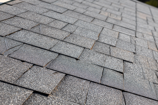 Roofing shingle detail under natural daylight.