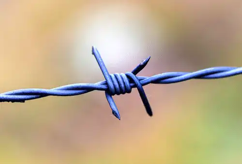 Barbed wire