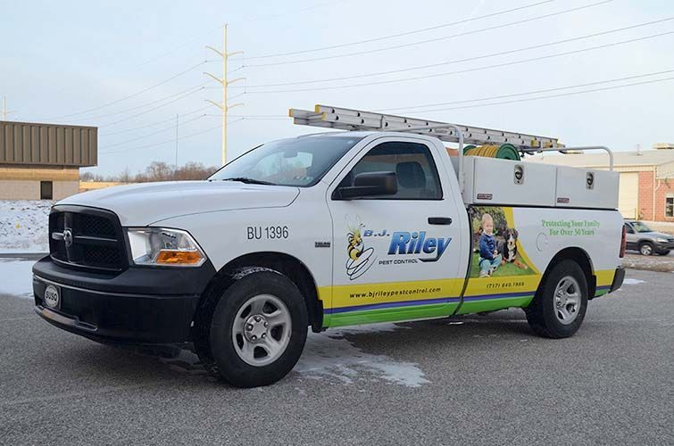 vehicle wraps